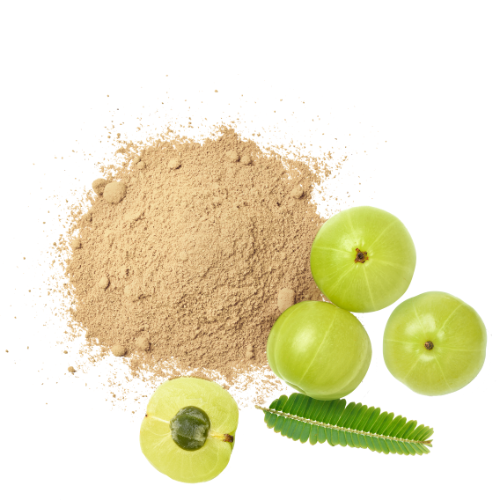 Dehydrated Amla Powder