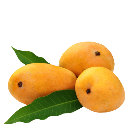 Totapuri Mango Pulp